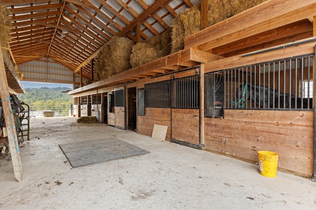 4445 Pine Grove Road, Means, KY 40346