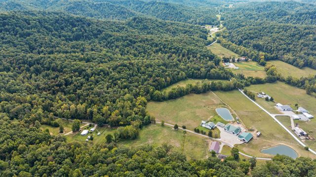 4445 Pine Grove Road, Means, KY 40346