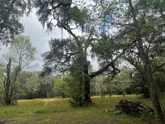 10423 CHEEVER ROAD, Brooksville, FL 34601