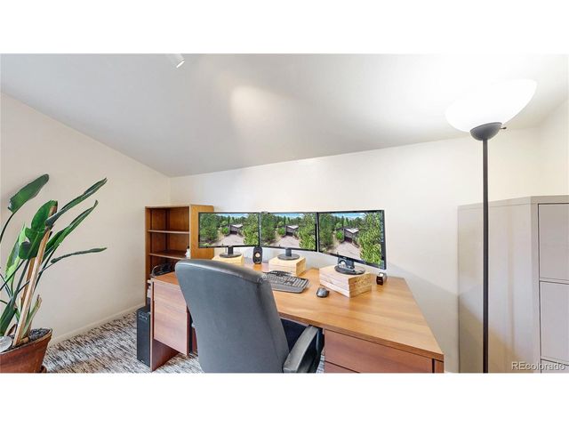 1295 Spruce Dr, Golden, CO 80401
