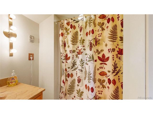 1295 Spruce Dr, Golden, CO 80401