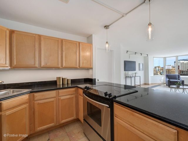 525 W Hawthorne Place 2207, Chicago, IL 60657