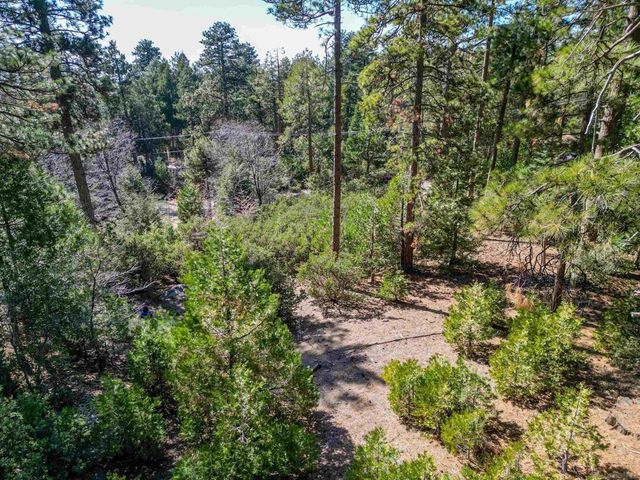 0 Laurel Trail, Idyllwild, CA 92549
