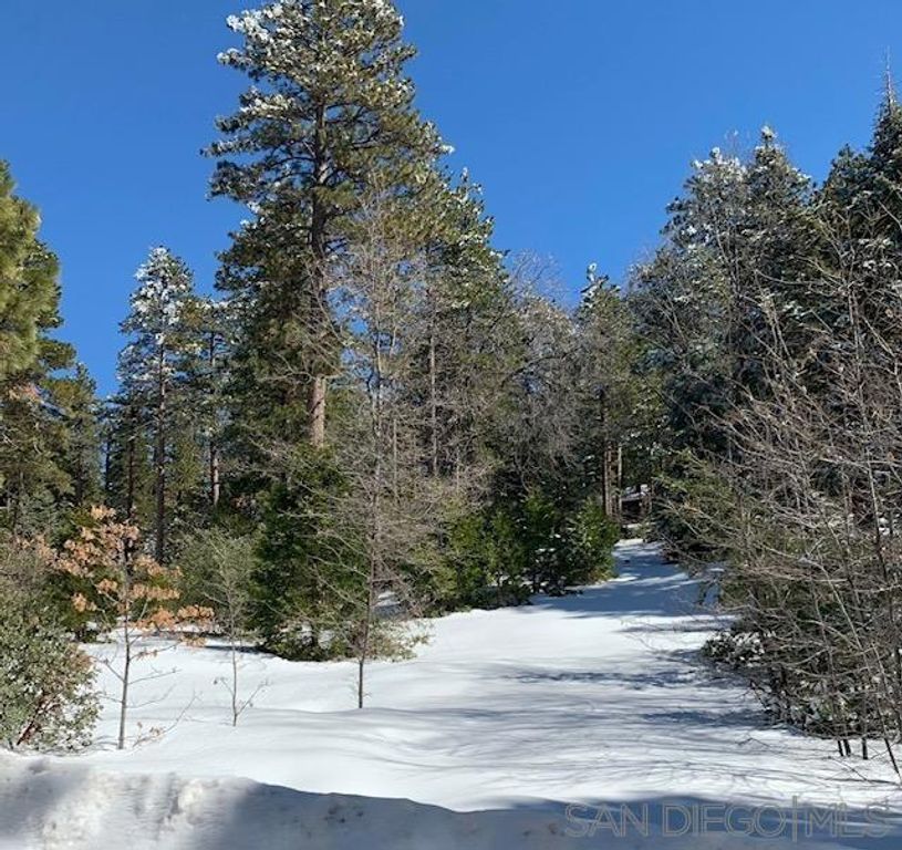 0 Laurel Trail, Idyllwild, CA 92549