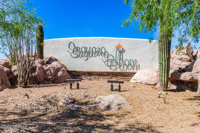 10292 N Leopard Gecko Terrace, Marana, AZ 85653