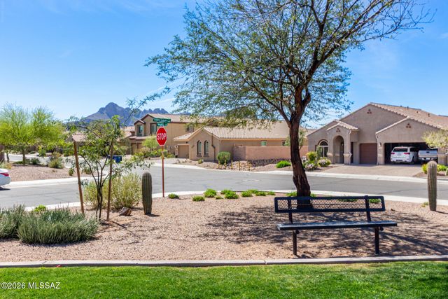 10292 N Leopard Gecko Terrace, Marana, AZ 85653