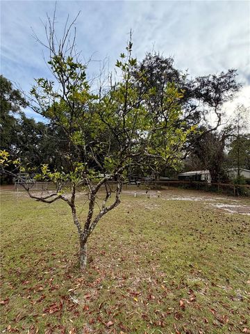 TBD NE 154TH PLACE LOT 6 & 7, Fort Mc Coy, FL 32134