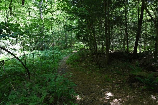 0 Amherst Rd, Pelham, MA 01002