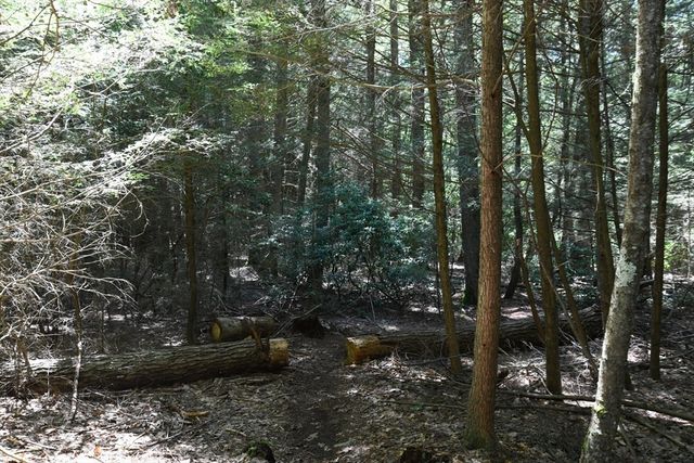 0 Amherst Rd, Pelham, MA 01002