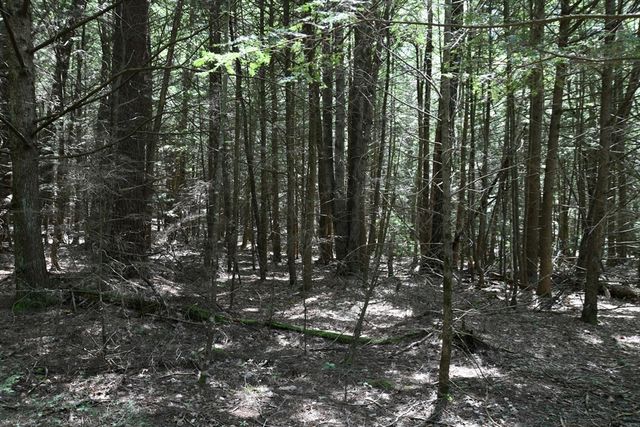 0 Amherst Rd, Pelham, MA 01002