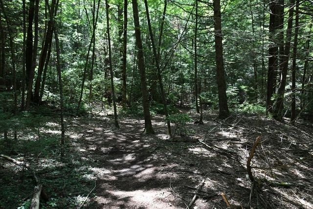 0 Amherst Rd, Pelham, MA 01002