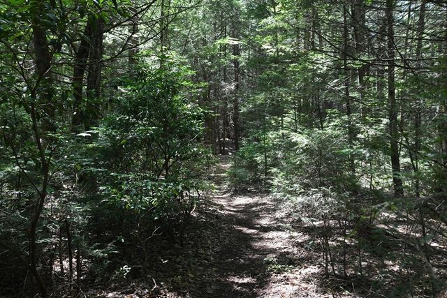 0 Amherst Rd, Pelham, MA 01002