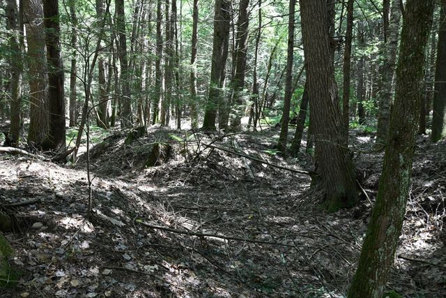 0 Amherst Rd, Pelham, MA 01002