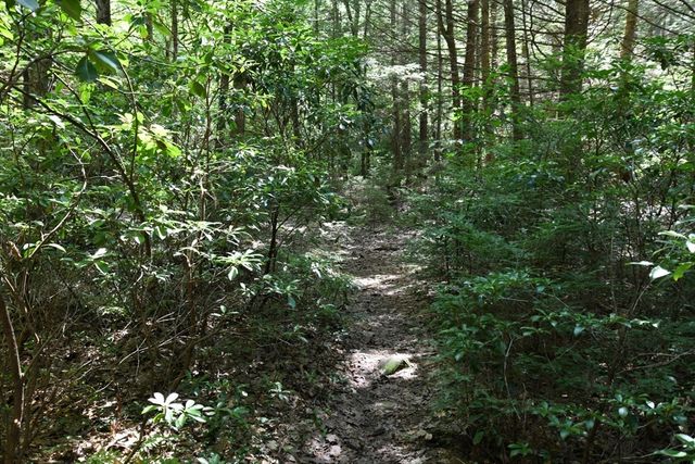 0 Amherst Rd, Pelham, MA 01002