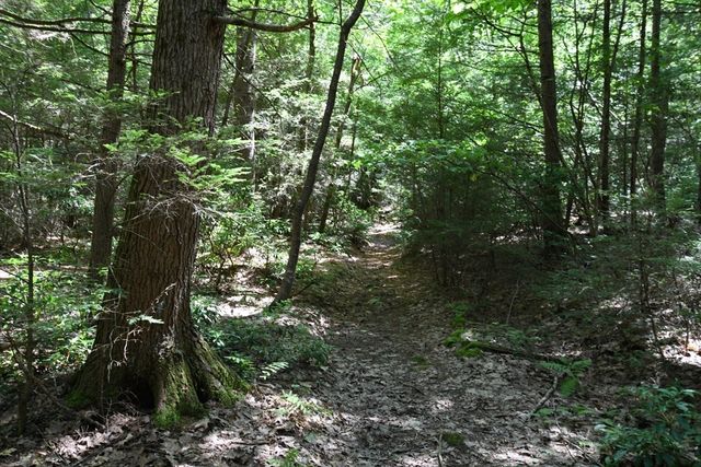 0 Amherst Rd, Pelham, MA 01002