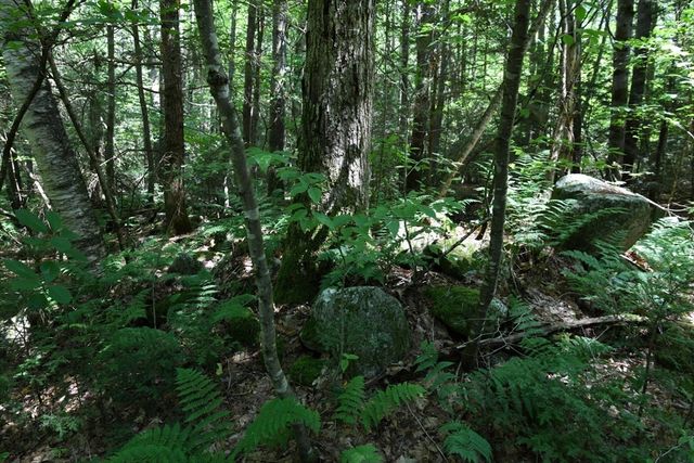 0 Amherst Rd, Pelham, MA 01002