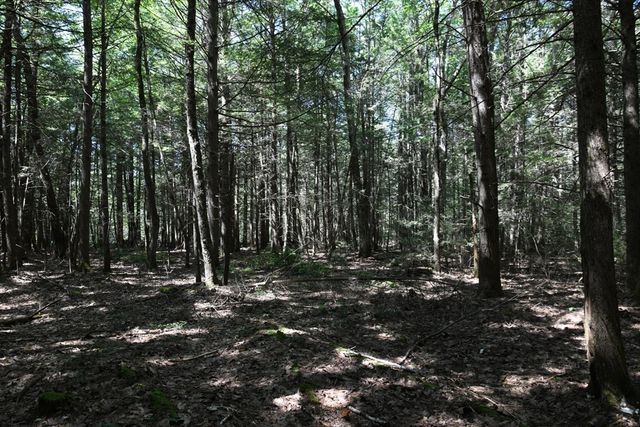 0 Amherst Rd, Pelham, MA 01002