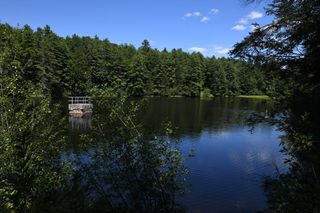 0 Amherst Rd, Pelham, MA 01002