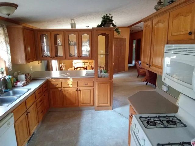 11067 S River Road, Evart, MI 49631