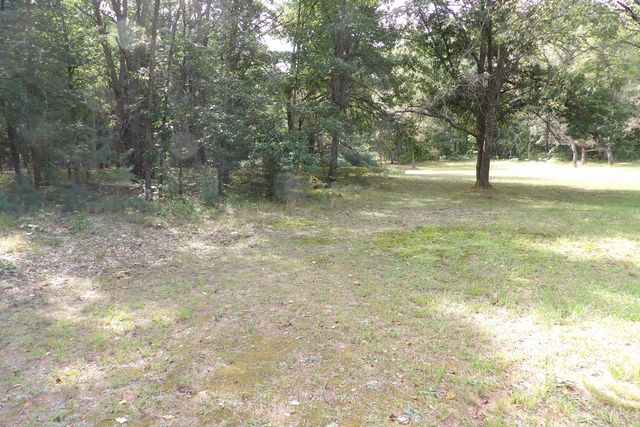 11067 S River Road, Evart, MI 49631