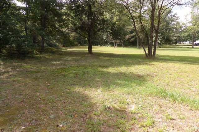 11067 S River Road, Evart, MI 49631