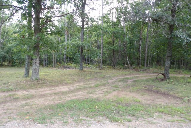 11067 S River Road, Evart, MI 49631