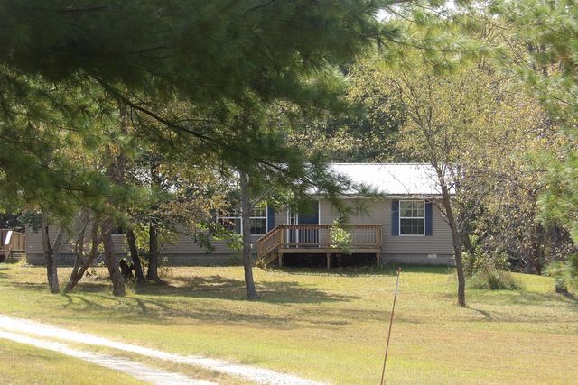 11067 S River Road, Evart, MI 49631