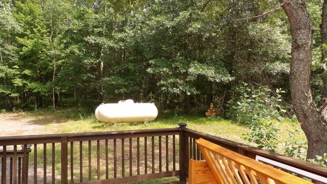 11067 S River Road, Evart, MI 49631