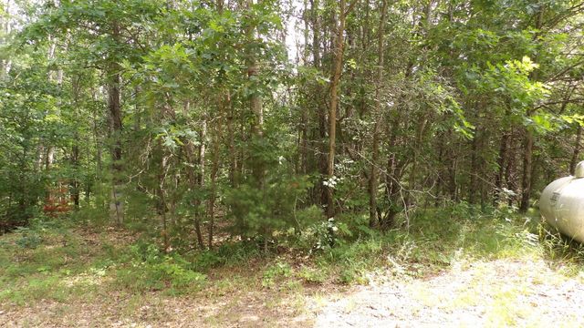 11067 S River Road, Evart, MI 49631