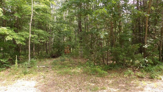 11067 S River Road, Evart, MI 49631