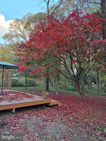 121 PRIMROSE RD, Chestertown, MD 21620