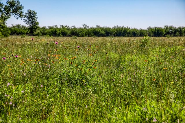 00000 Flat Prairie Road, Washington, TX 77880