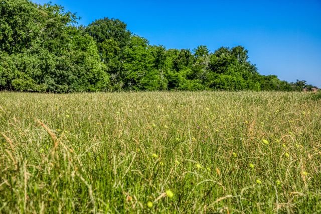 00000 Flat Prairie Road, Washington, TX 77880