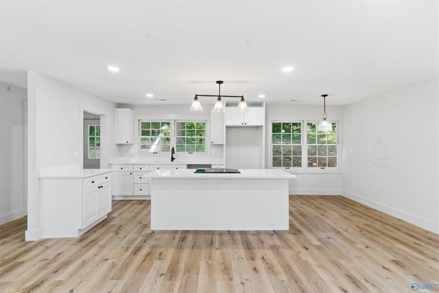 1725 Forest Drive, Guntersville, AL 35976