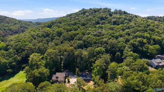 1725 Forest Drive, Guntersville, AL 35976