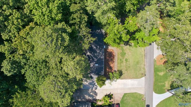 1725 Forest Drive, Guntersville, AL 35976