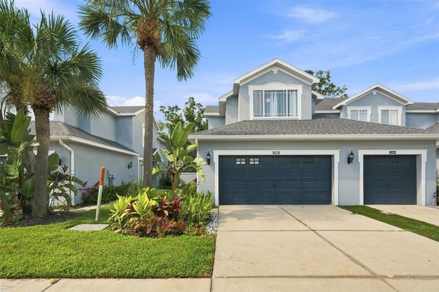 6030 PARKSIDE MEADOW DRIVE, Tampa, FL 33625