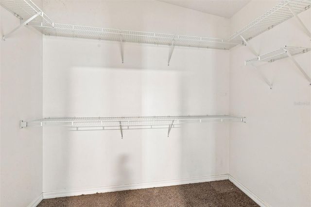 6030 PARKSIDE MEADOW DRIVE, Tampa, FL 33625