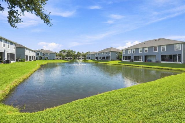 6030 PARKSIDE MEADOW DRIVE, Tampa, FL 33625