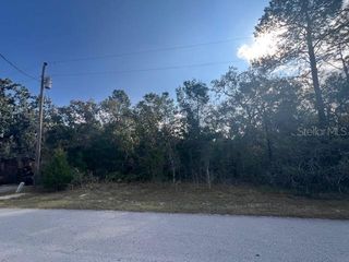 3328 HORSESHOE LN, Spring Hill, FL 34606