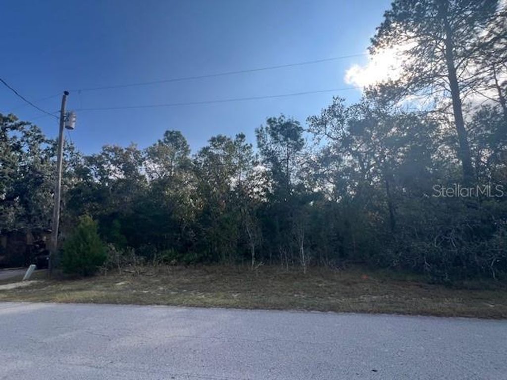 3328 HORSESHOE LN, Spring Hill, FL 34606