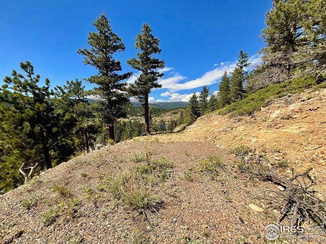 46 Pinecliff Trail, Nederland, CO 80466