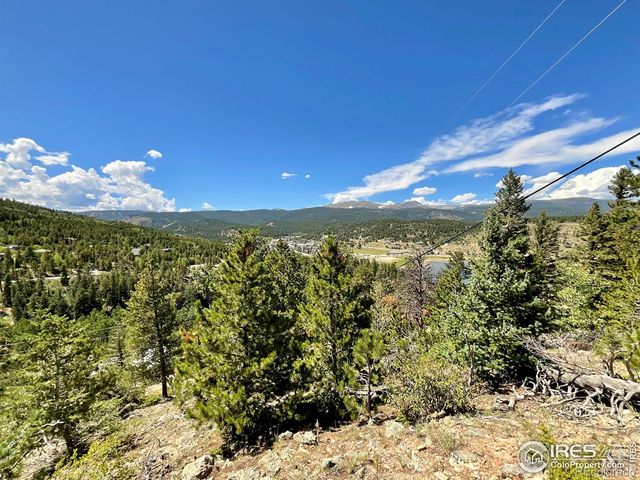 46 Pinecliff Trail, Nederland, CO 80466