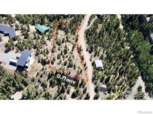 46 Pinecliff Trail, Nederland, CO 80466