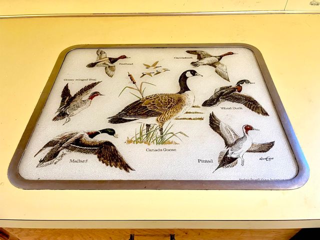 902 S PRESTON ROAD, Burkburnett, TX 76354