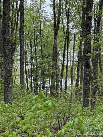 161 Porter Lake Road, Amasa, MI 49903