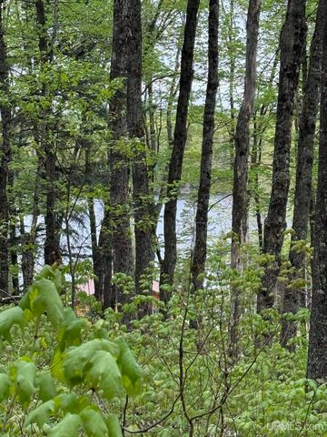 161 Porter Lake Road, Amasa, MI 49903