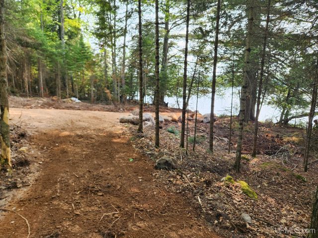 161 Porter Lake Road, Amasa, MI 49903