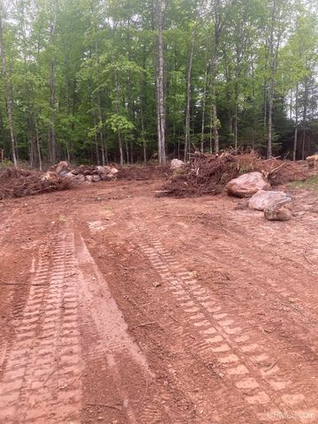 161 Porter Lake Road, Amasa, MI 49903