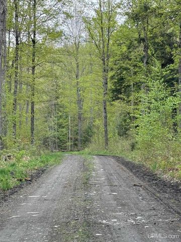 161 Porter Lake Road, Amasa, MI 49903